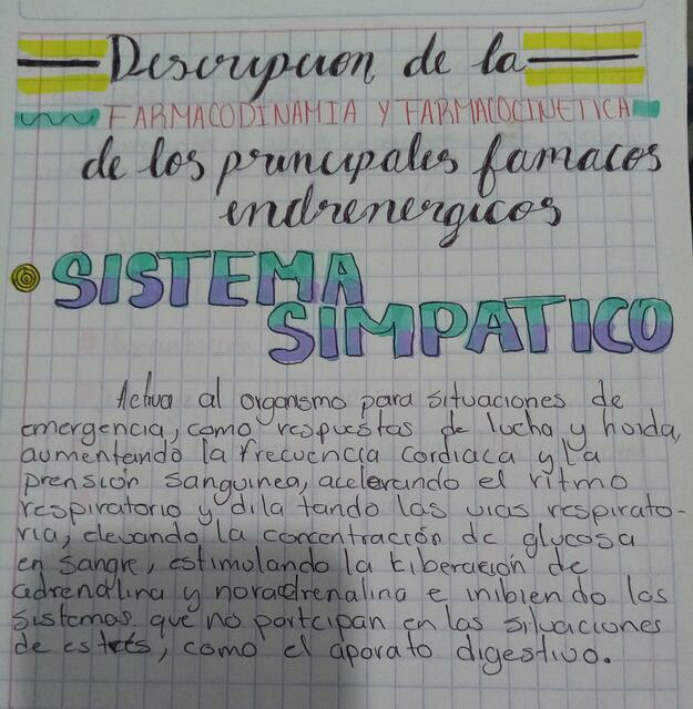 Sistema Simpático