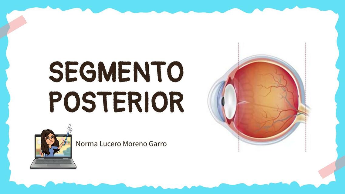 Segmento Posterior del Ojo Dra. Lulú uDocz