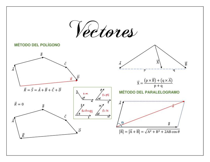 Vectores