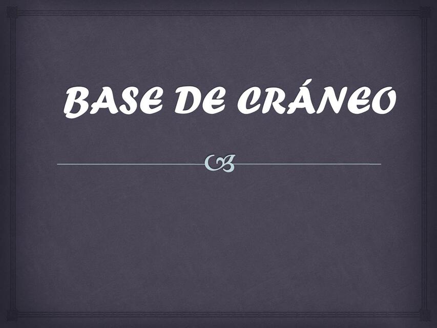 Base de Cráneo 