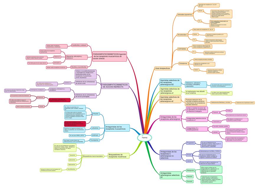 Mapa sinóptico farma