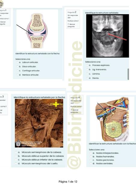 Examen locomotor cat 2