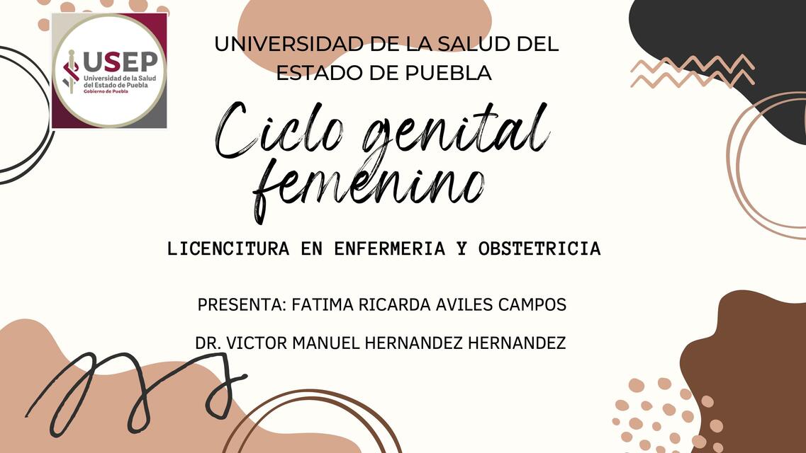 Ciclo genital femenino