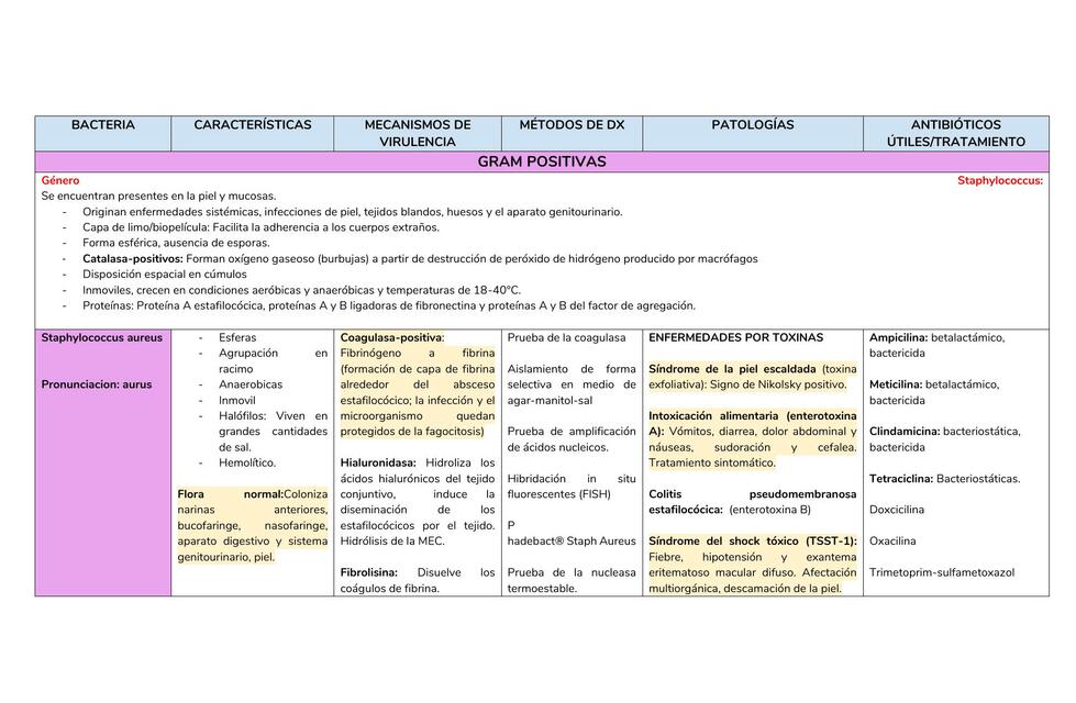 Cuadro de bacterias