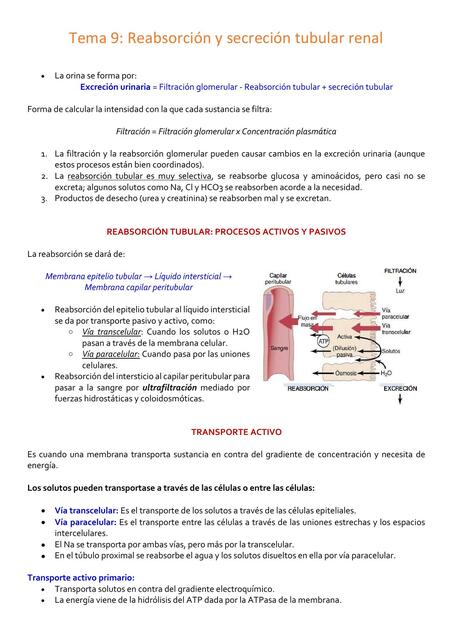 Fisiología Reabsorción y secreción tubular renal