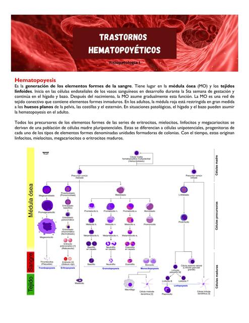 Trastornos Hematopoyéticos