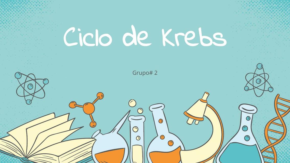 Ciclo de Krebs