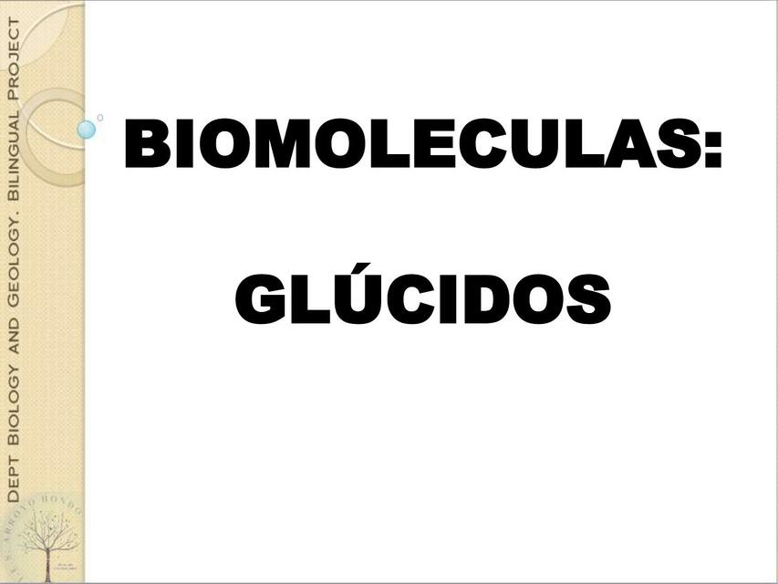 Biomoléculas: Glúcidos 