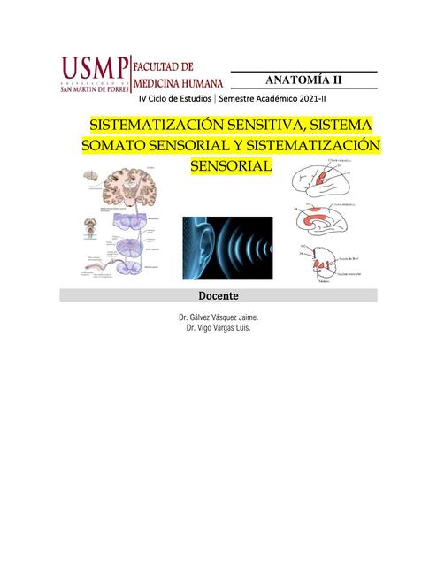 INFORME 12 PRÁCTICO DE ANATOMÍA