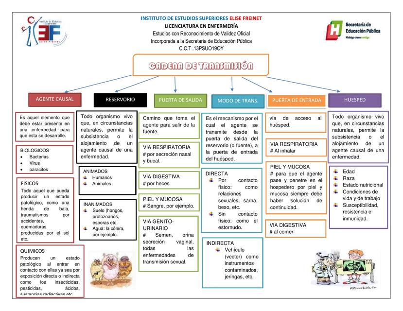 Cadena de trasnmision