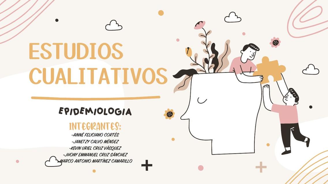 ESTUDIOS CUALITATIVOS