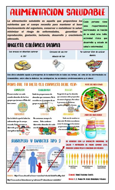 Alimentación adecuada