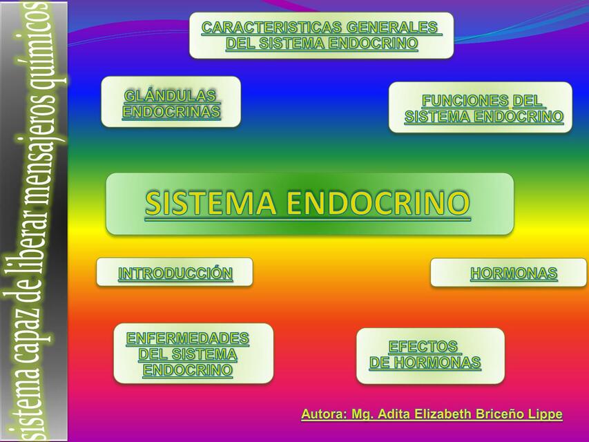 Sistema Endocrino