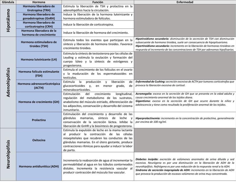 Hormonas hipotalámicas e hipofisarias