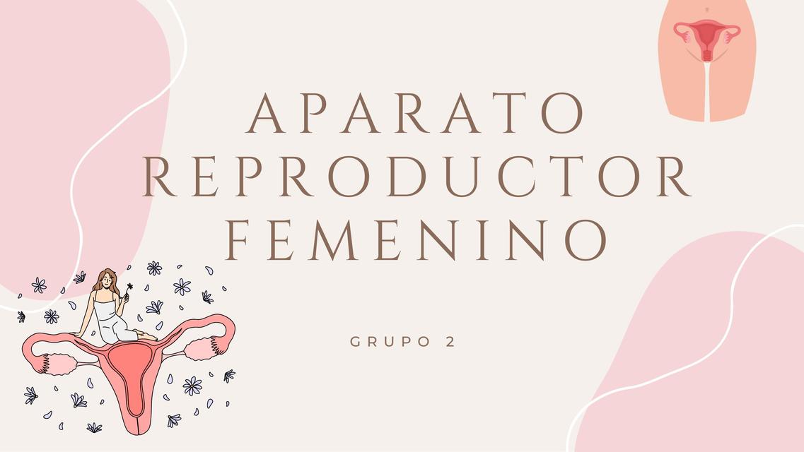 Presentación sobre el aparato reproductor femenino