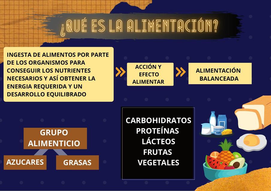 La alimentación 