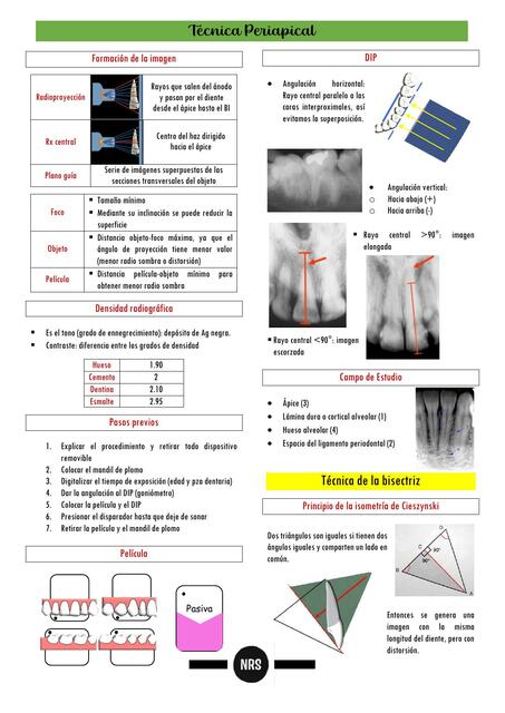 Técnica periapical