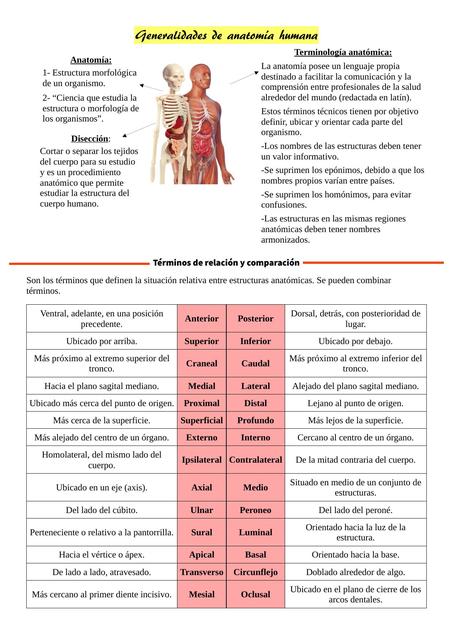 GENERALIDADES ANATO