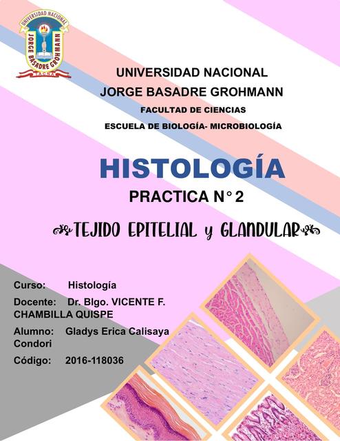 INFORME DEL TEJIDO EPITELIAL Y GLANDULAR