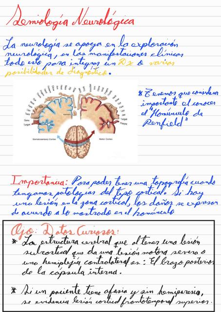 Semiología Neurología