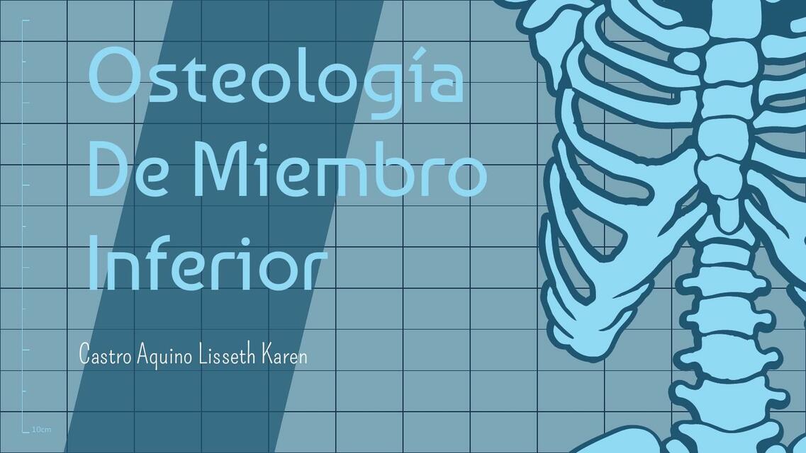 Osteología de Miembro Inferior 