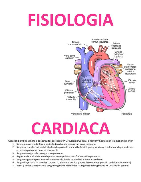 Fisiología Cardiaca 