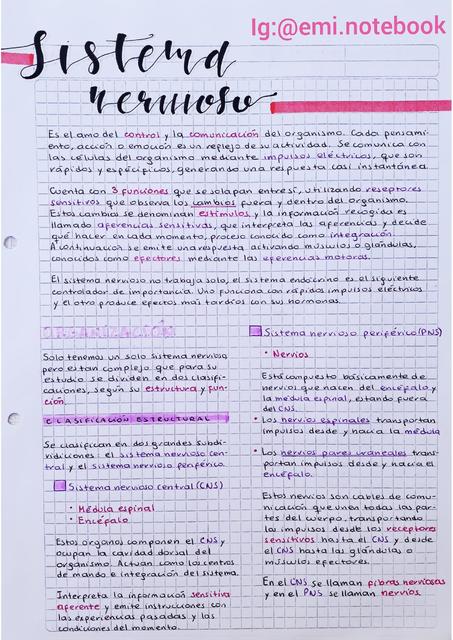 sistema-nervioso-emi-nutrinotes-udocz