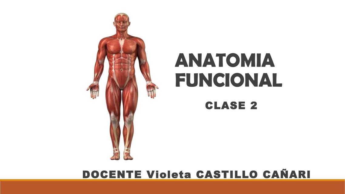 Anatomía Funcional 