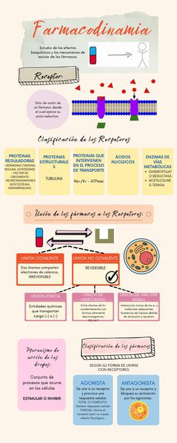 Farmacodinamia