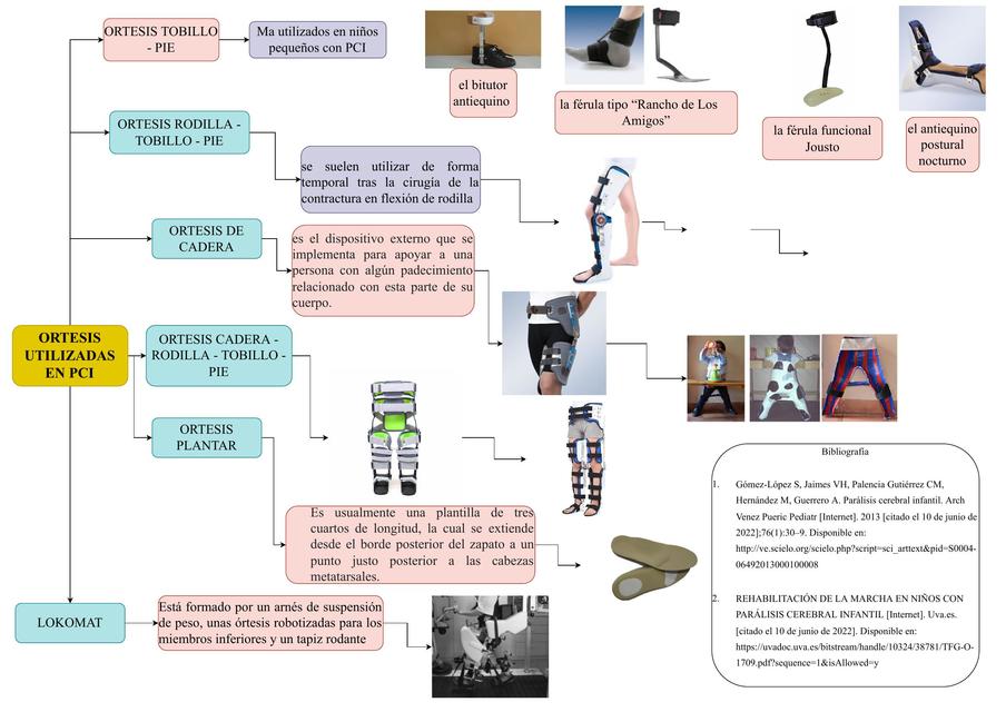 ORTESIS UTILIZADAS EN PCI