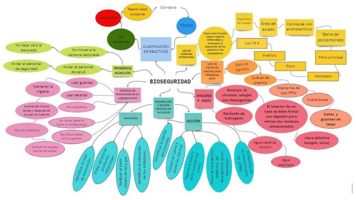 Bioseguridad