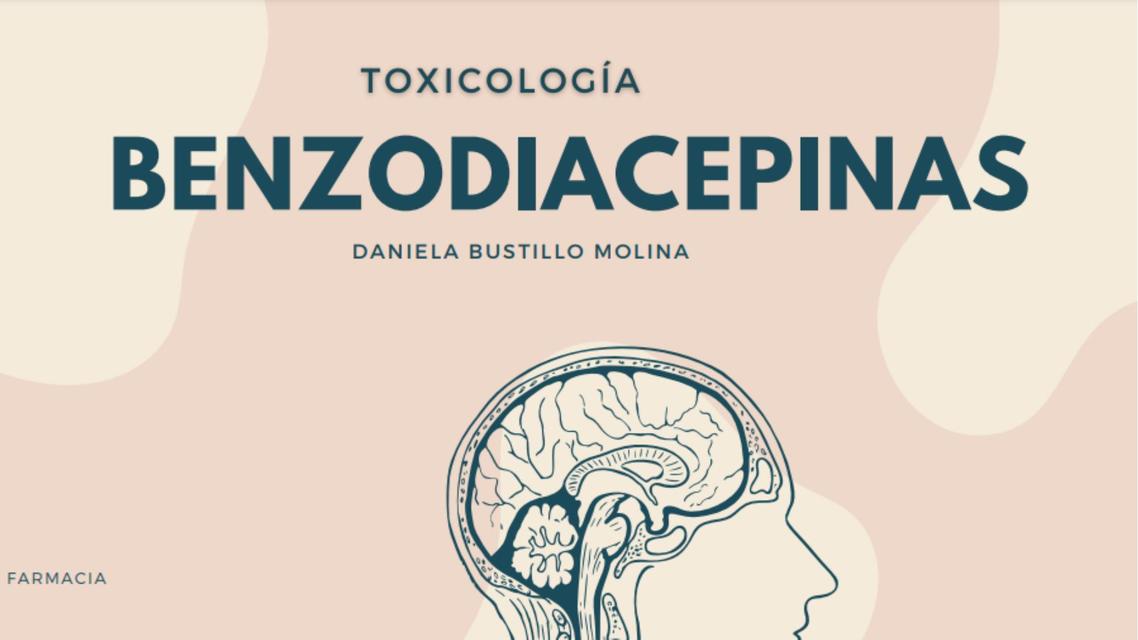 Benzodiacepinas