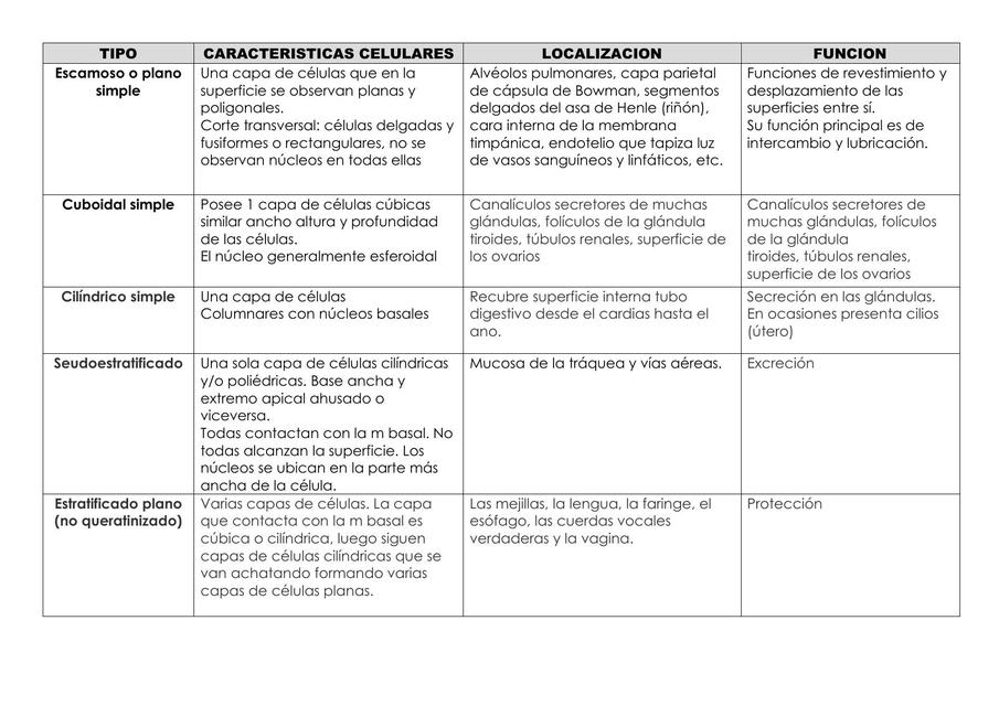 clasificación de los tejidos epiteliales