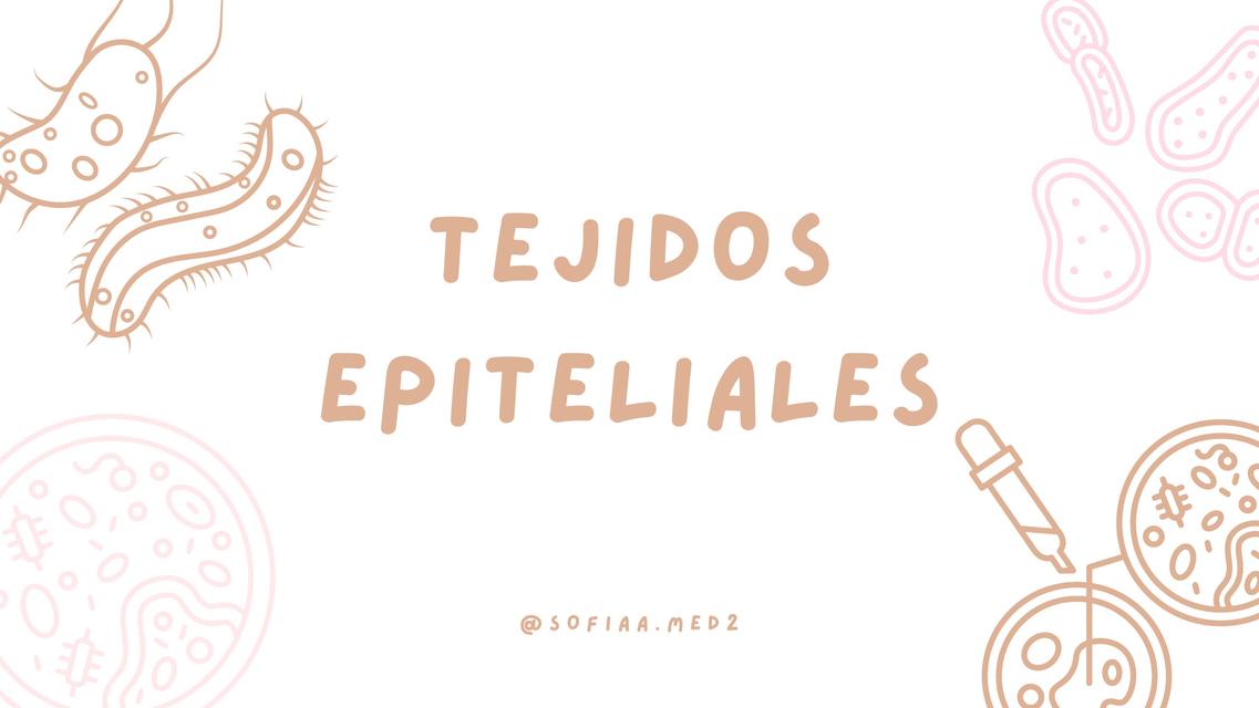 Tejidos epiteliales