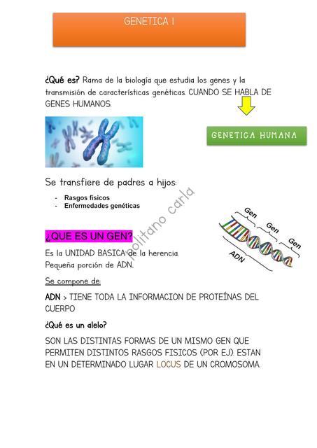 GENETICA 1 Y 2 RESUMEN