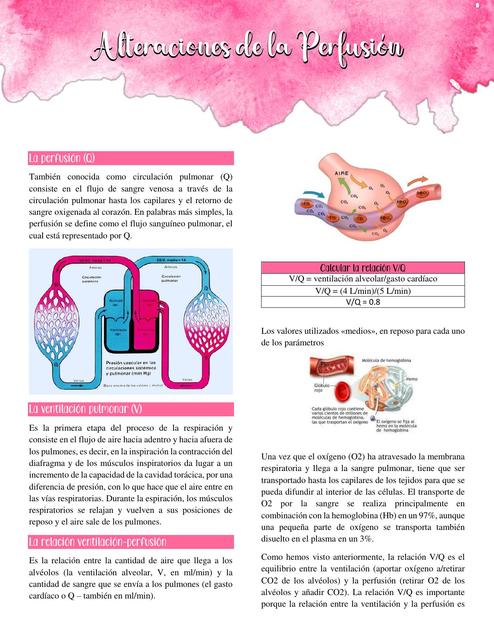 RESUMEN FISIOPATOLOGÍA RESPIRATORIA ALTERACIONES DE LA PERFUSION