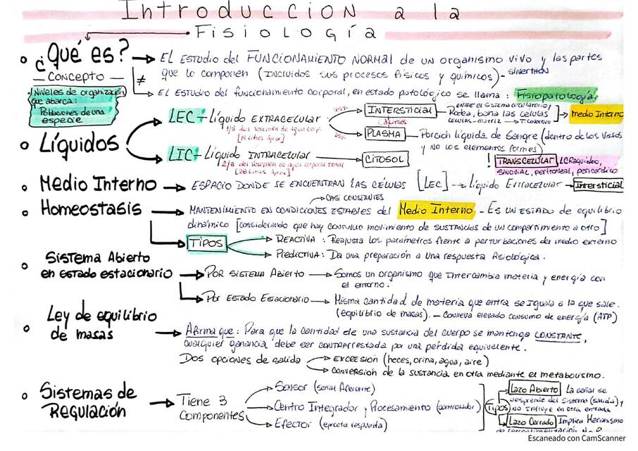 FISIOLOGIA Introduccion Kinesinapsis