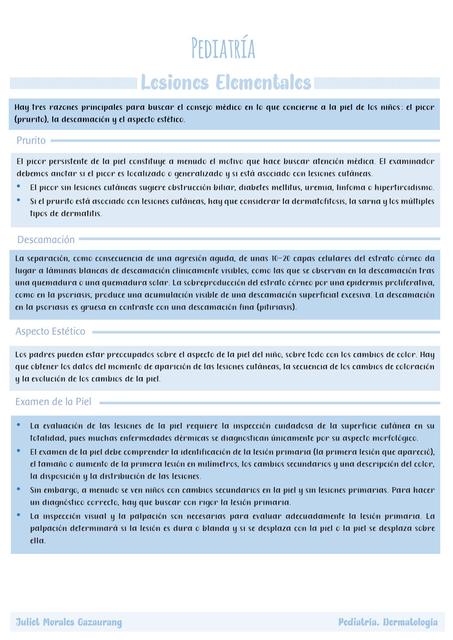 Lesiones Dermatológicas Elementales en Pediatría