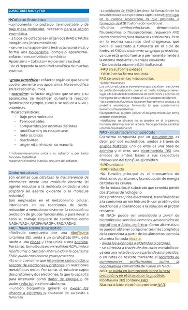 cofactores NAD FAD catabolismo de combustibles lanzaderas ciclo de krebs catabolismo del etanol gluconeogenesis urea amonio trastornos metabolicos bioquimica medica