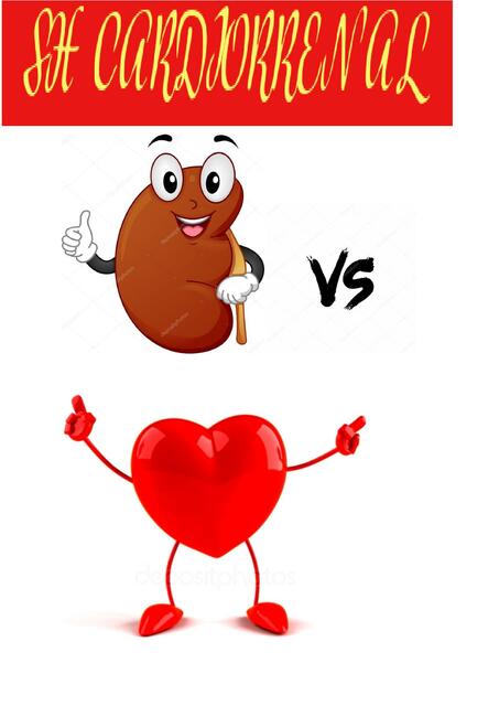 Síndrome Cardio-renal 