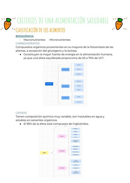 CRITERIOS PARA UNA ALIMENTACION SALUDABLE