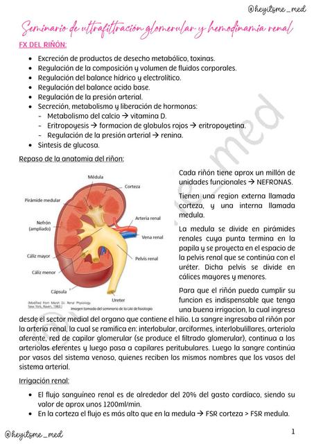 RENAL TP2