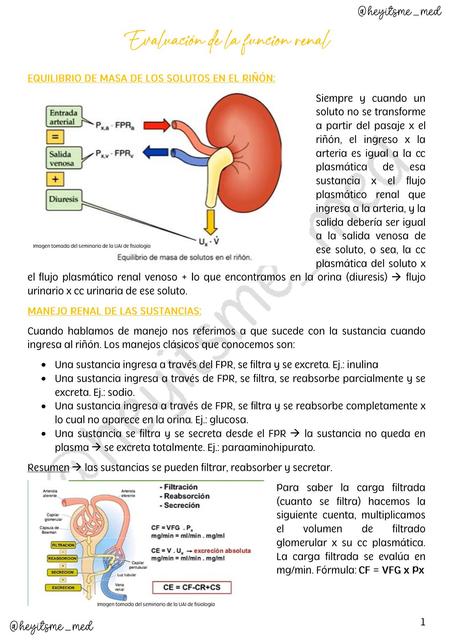 RENAL TP3