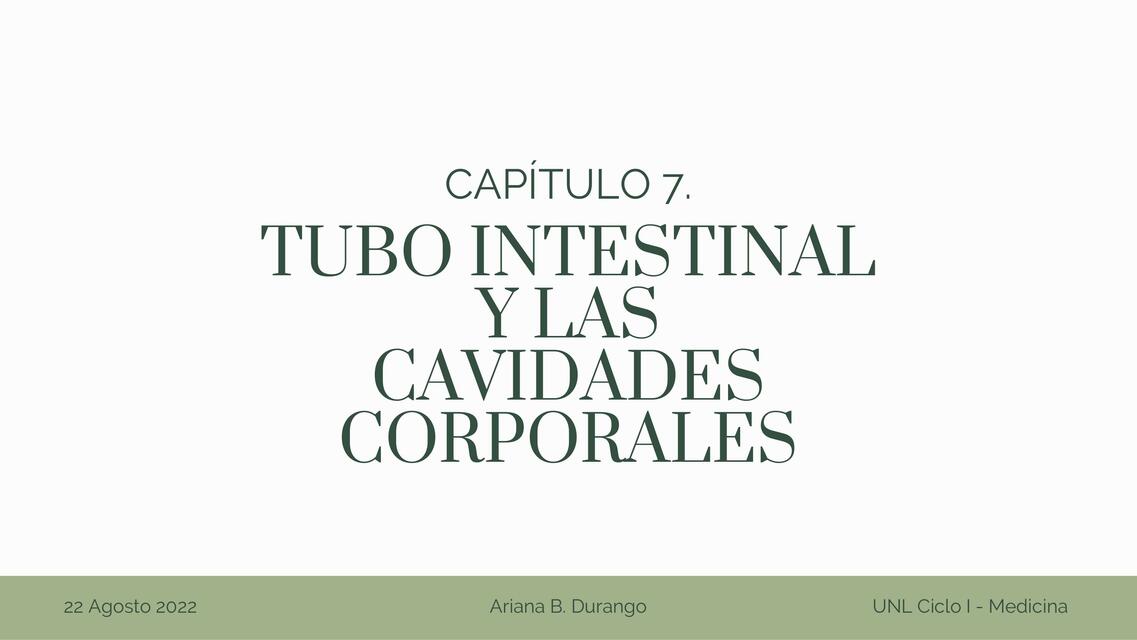 Embiología Langman: Tubo intestinal y cavidades corporales