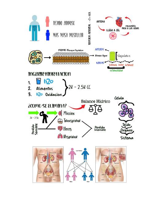 Apuntes Generales Química