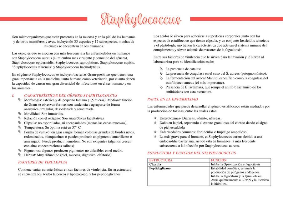 APUNTE STAPHYLOCOCCUS  