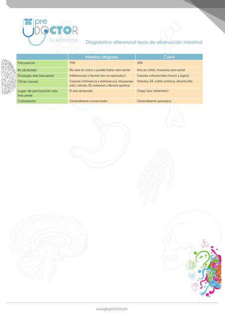  Obstrucción intestinal