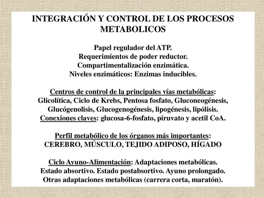 Interrelaciones Metabólicas