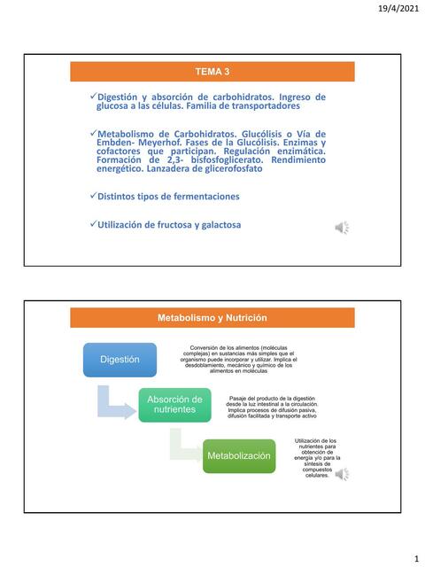 Metabolismo de Hidratos de Carbono