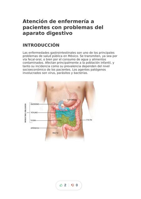 Atención de Enfermería a Pacientes con Problemas del Aparato Digestivo